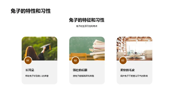 探秘动物世界