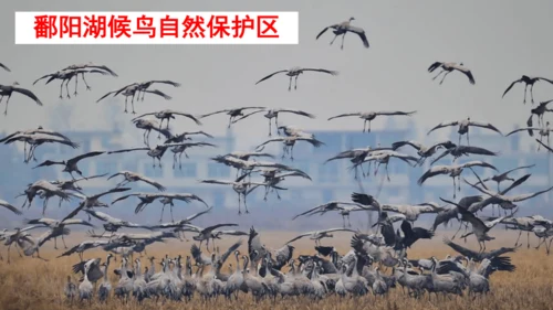 10.0 中国在世界中（课件43张）-2024-2025学年人教版地理八年级下册