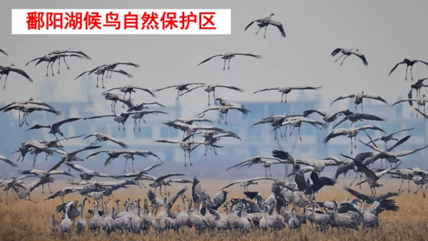 10.0 中国在世界中（课件43张）-2024-2025学年人教版地理八年级下册
