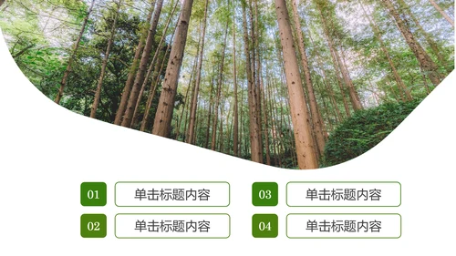 原始森林湿地植树造林森林环保PPT模板