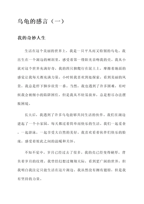 一只乌龟的感言
