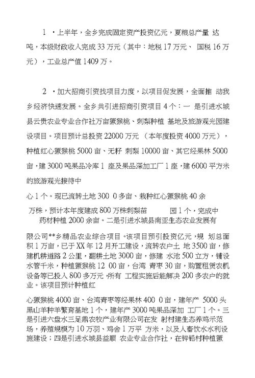 乡政府XX年半年工作总结及下半年工作打算