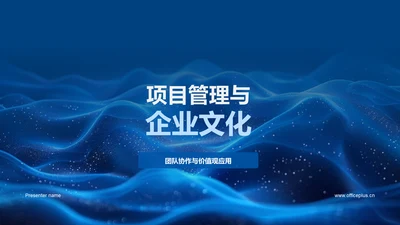 项目管理与企业文化