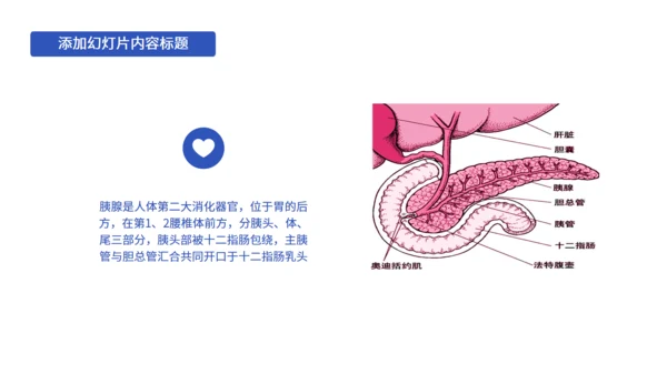 医护常识知识培训课件医生专用通用PPT模板