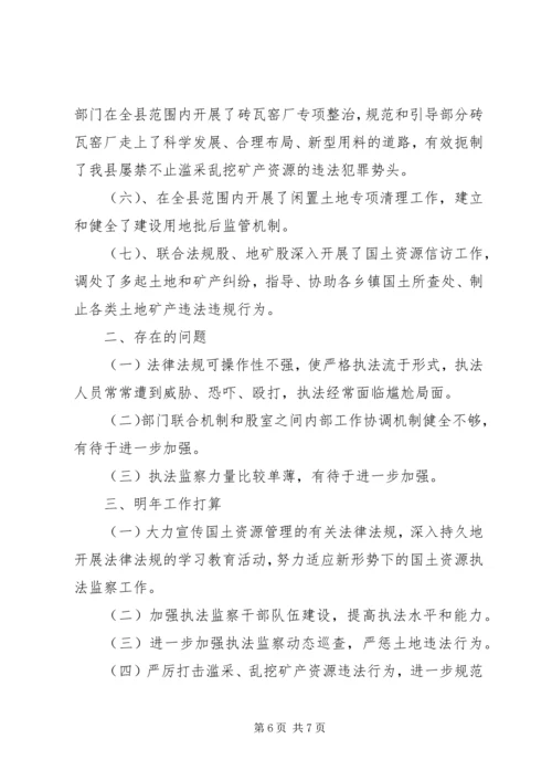 国土系统执法情况报告.docx