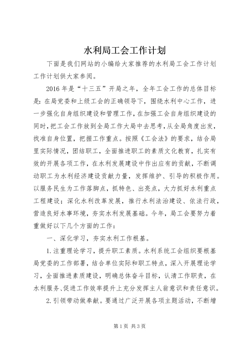 水利局工会工作计划.docx