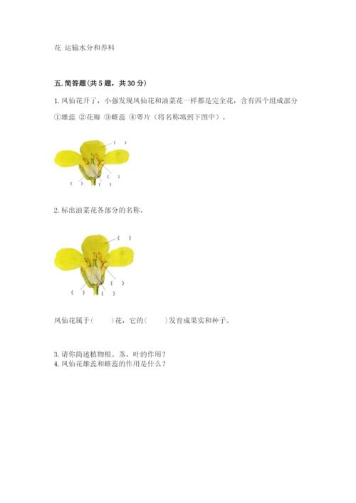 教科版四年级下册科学第一单元《植物的生长变化》测试卷及答案【夺冠】.docx