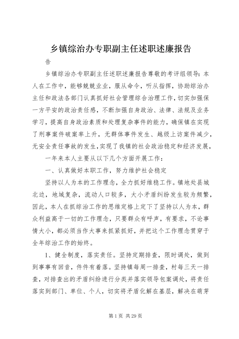 乡镇综治办专职副主任述职述廉报告.docx