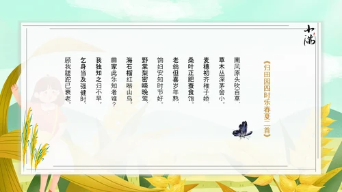 食粮丰收麦穗小满PPT模板
