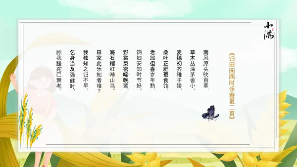 食粮丰收麦穗小满PPT模板