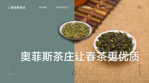 蓝灰简约风春茶产品介绍宣传手册