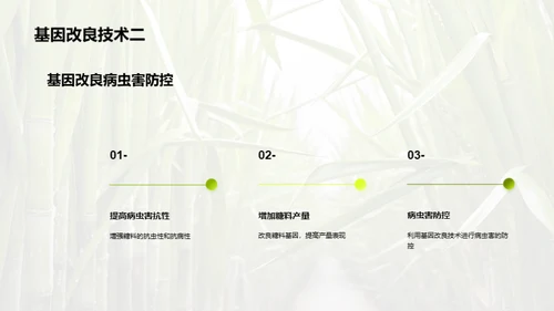 糖料种植的科技革命