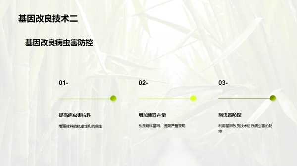 糖料种植的科技革命