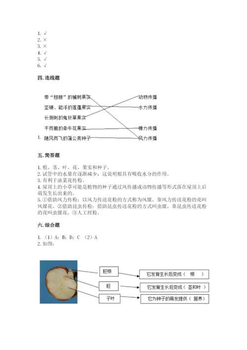 科学四年级下册第一单元《植物的生长变化》测试卷精品【名师系列】.docx