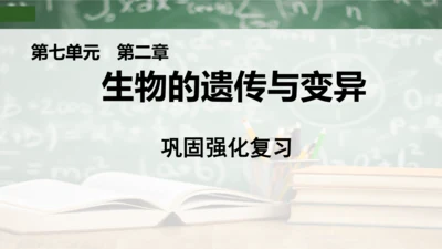 第2章 生物的遗传与变异（复习课件）-八年级生物下册章末知识总结 检测卷（人教版）(共19张PPT)