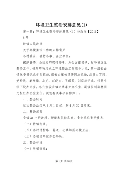 环境卫生整治安排意见(1).docx