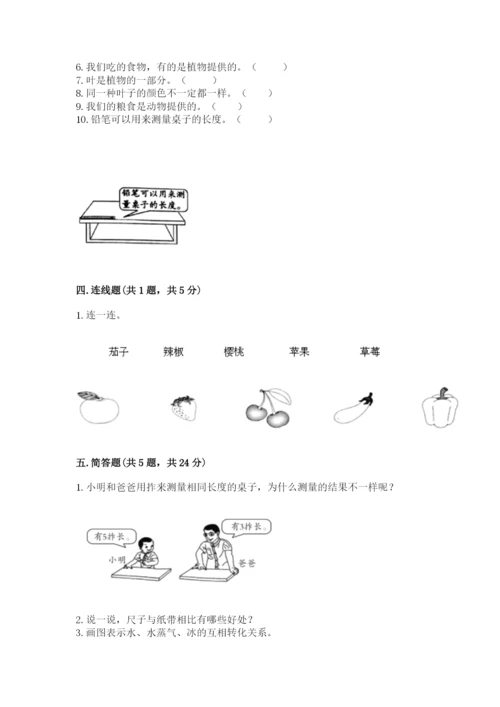 教科版一年级上册科学期末测试卷（考点梳理）.docx