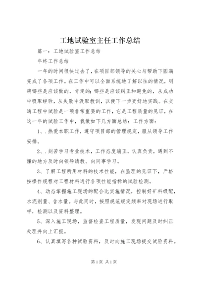 工地试验室主任工作总结.docx