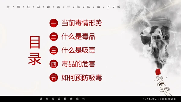 国际禁毒日珍爱生命远离毒品禁毒教育PPT课件禁毒日（禁毒）