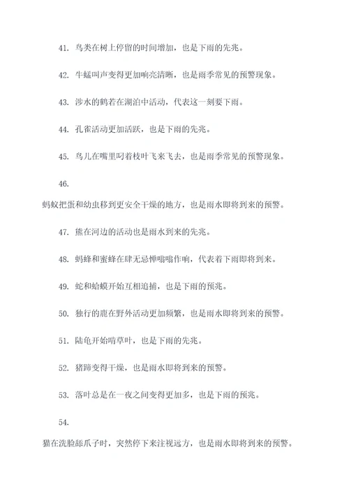 下雨先兆的动物谚语