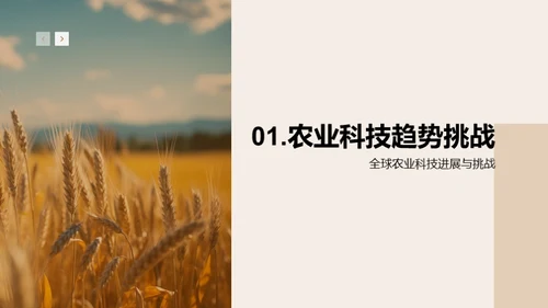 农学研究的全球影响