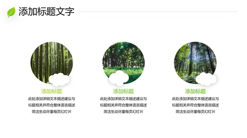 绿色环保森林湿地环境保护生态森林业PPT