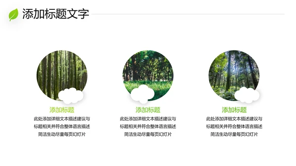 绿色环保森林湿地环境保护生态森林业PPT