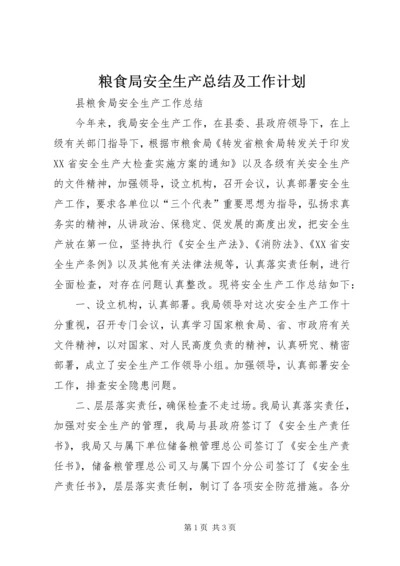 粮食局安全生产总结及工作计划 (5).docx