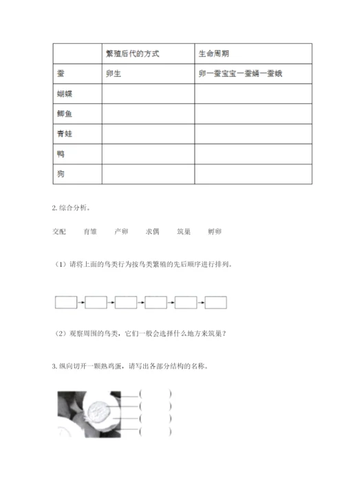 教科版科学三年级下册期末测试卷（夺冠系列）.docx