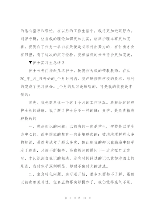 护士实习生总结5篇.docx