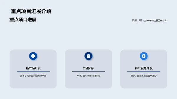 团队年度成就与展望