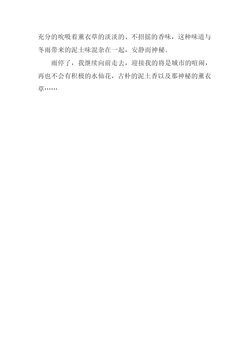 冬雨作文600字0.docx