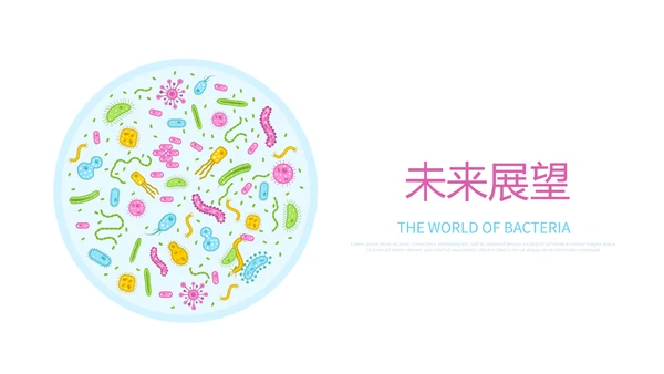 生物学细菌细胞动态PPT