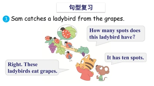 Unit 6 In the kitchen 复习课件(共 46张PPT) -2023-2024学年五