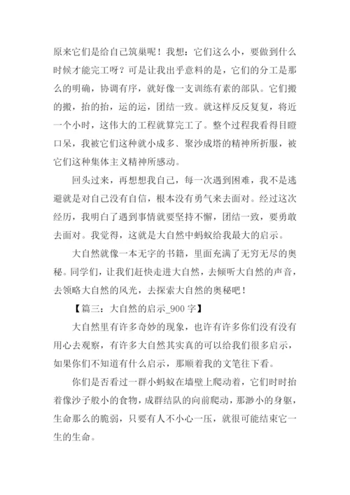 有关大自然启示的作文.docx