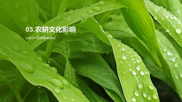 谷雨节气文化探秘