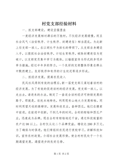 村党支部经验材料 (2).docx