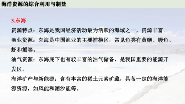 跨学科实践活动8  海洋资源的综合利用与制盐课件(共39张PPT内嵌视频)