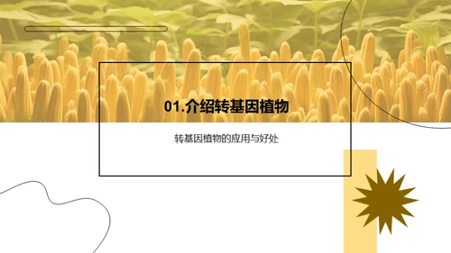 转基因植物