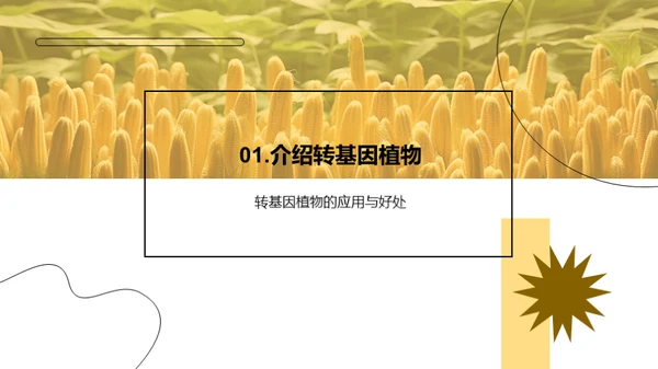 转基因植物