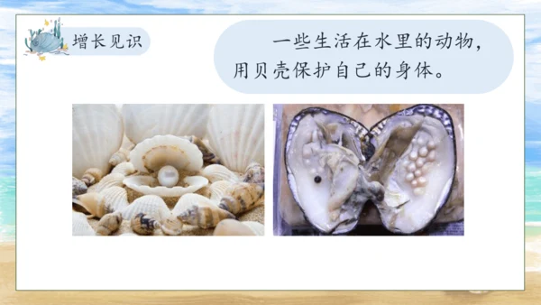 【核心素养】部编版语文二年级下册-识字3. “贝”的故事 第2课时（课件）