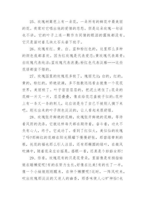 描写玫瑰花的好句好段有哪些.docx