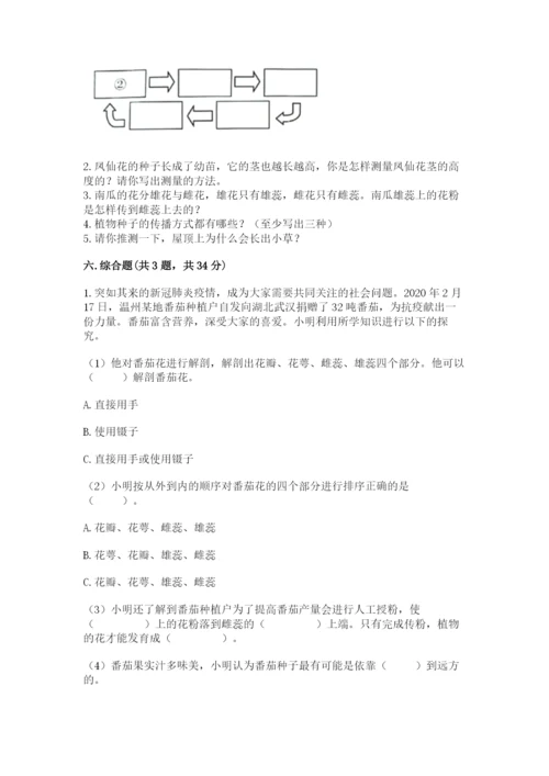 教科版科学四年级下册第一单元《植物的生长变化》测试卷a4版.docx