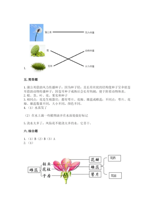 科学四年级下册第一单元《植物的生长变化》测试卷（培优a卷）.docx