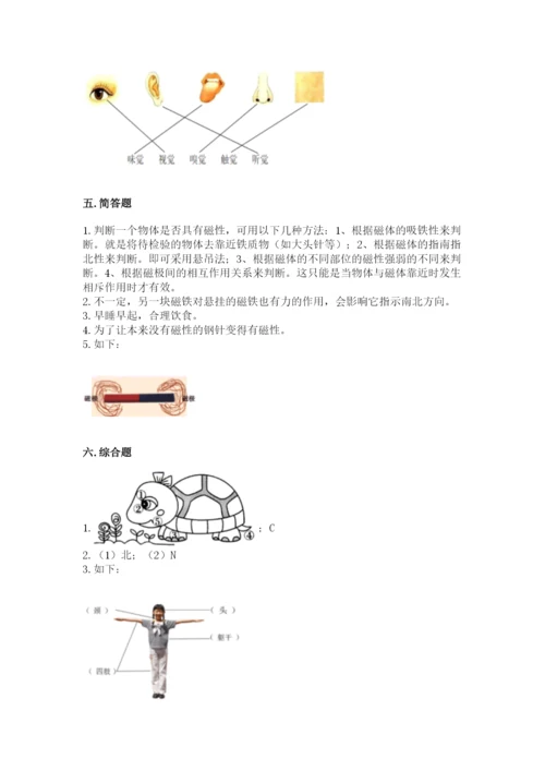 教科版二年级下册科学期末测试卷精品（完整版）.docx