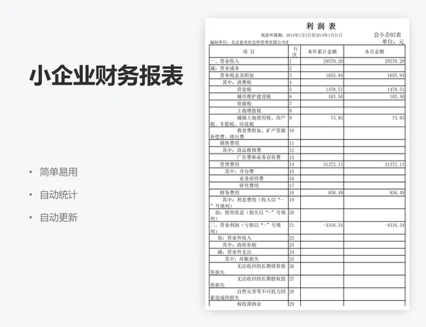 小企业财务报表