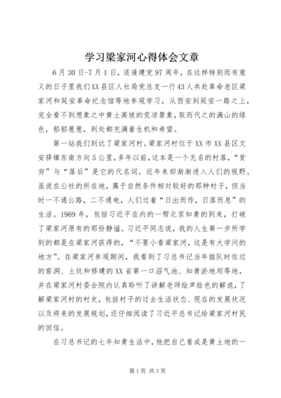 学习梁家河心得体会文章.docx