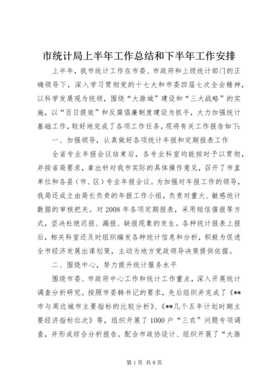 市统计局上半年工作总结和下半年工作安排.docx