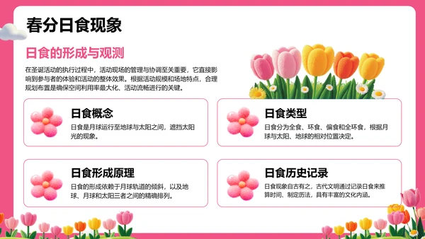粉色插画风春分节气文化科普 PPT模板