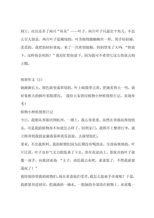 观察作文（精选6篇）作文